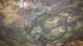 20160622_180730.webp