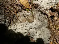 DSCN1088.webp