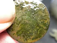 DSCN1090.webp