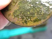 DSCN1093.webp