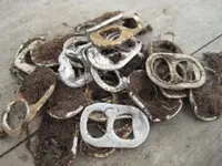 IMG_1913.webp IMG_1913.webp