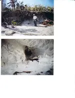 seagrapetrail2004.webp