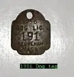 Copy of P7080002[1].webp