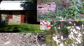 100_0071b.webp