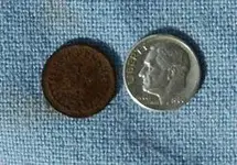 New penny copy.webp