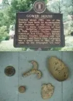 Gower House Photos2.webp