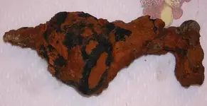 DSCN1103.webp