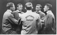 Badger.webp