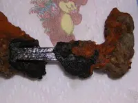 DSCN1108.webp
