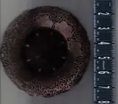 Candle Holder top.webp
