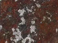 DSCN0018.webp