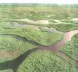 everglades-1 aerial.webp