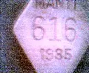 cap_017.webp