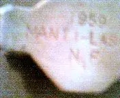 cap_019.webp