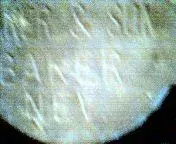 cap_024.webp