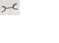 15.webp