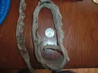DSCF2081.webp