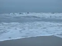 Surfer.webp