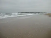 Low Tide.webp
