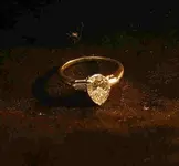 The Ring.webp