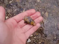 P1040245.webp