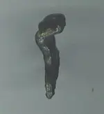 Sling Attachment 2.webp