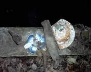 10 14 07 006.webp