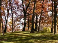 HSPICTURES 617-Changed.webp
