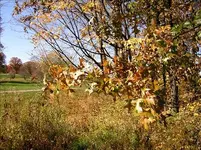 HSPICTURES 648-Changed.webp