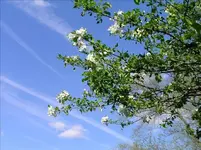 P4270043-Changed.webp