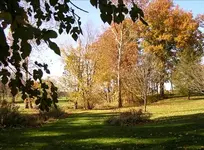HSPICTURES 657-Changed.webp