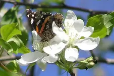 P4270047-Changed.webp