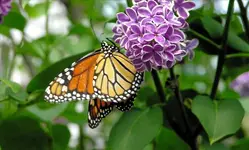 P5080114-Changed.webp