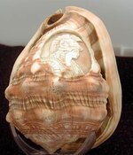 athena shell art winged helmet.jpg