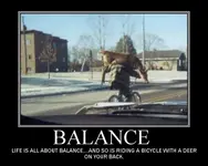BALANCE.webp