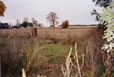 gARDNER cEMETERY LOOKING TOWARD TAVERN SITE.webp