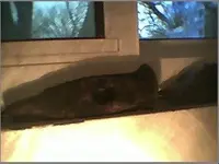 blacksmith hammer 1.webp