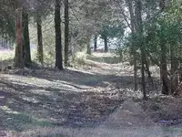 Old CW road.webp