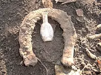 Lucky Horseshoe and Bottle.webp
