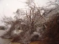Ice.webp