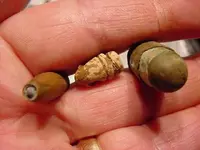 Bullets 3.webp