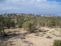 11-11-07_013_Trails_leading_to_the_ridge 1.webp