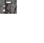 Site1.webp