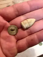 Civil War Relic finds June 16.webp