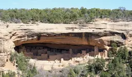cliff_palace_3.webp