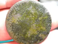DSCN1099.webp