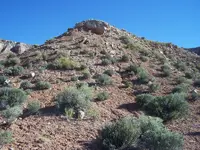 000_0052[1].webp