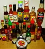 DSCN0193.webp