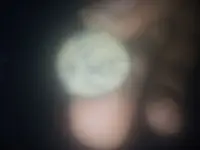 20160514_184800.webp