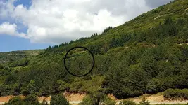 photo-dix2.webp